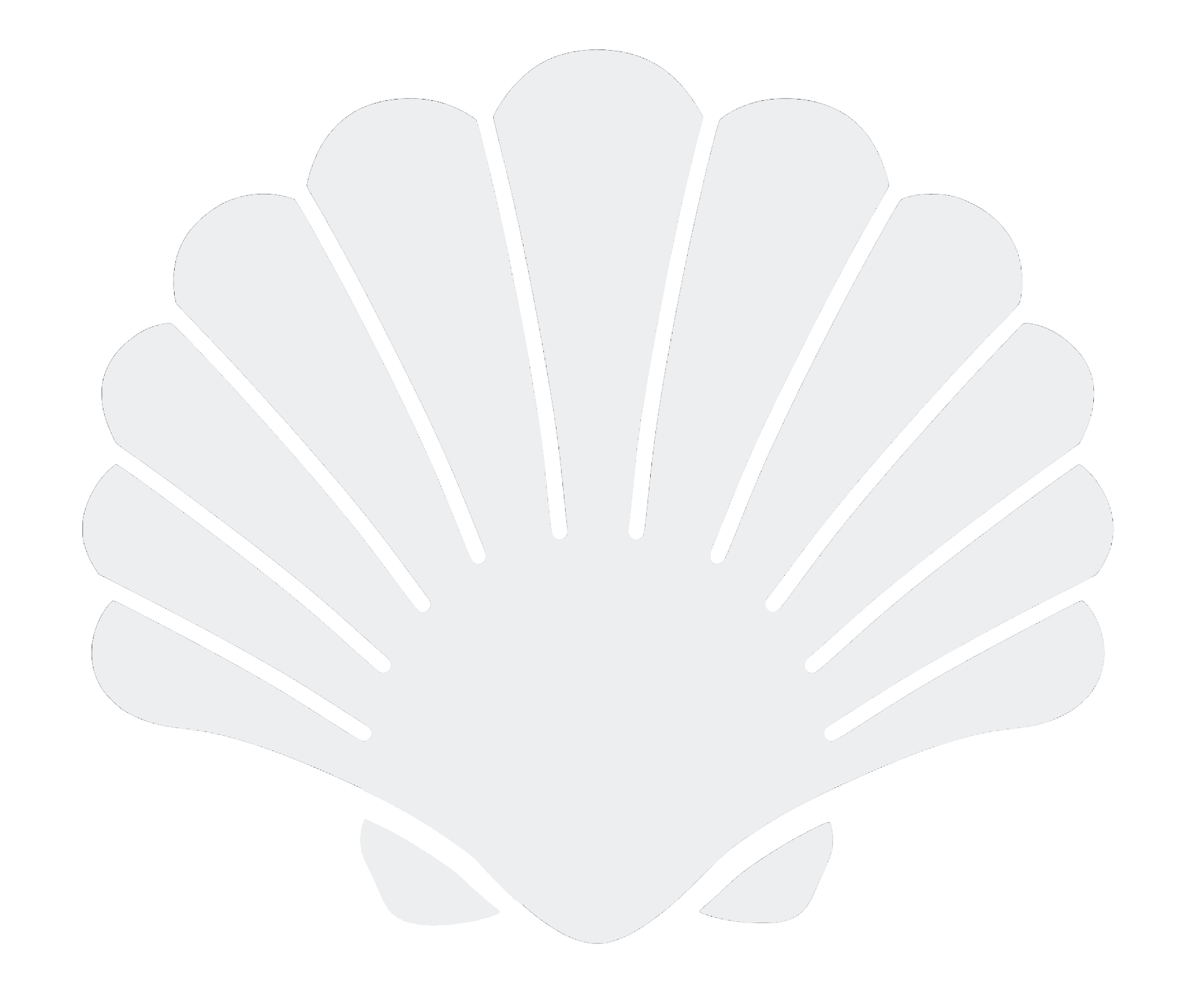 Clam Icon